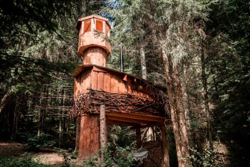 Veža v korunách stromov