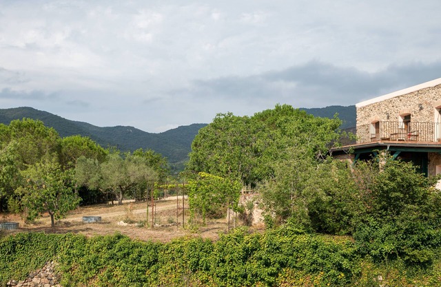 Vegan Rural Cottage in the middle of Nature