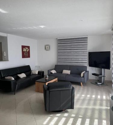 Venez au cœur de la route des vins et des marchés de Noël