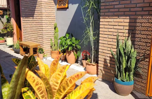 Veruska's Little House