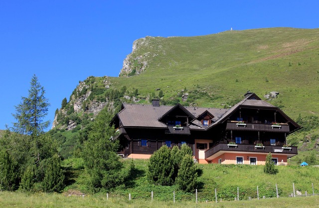 very comfortable, alike hut, with all comfort, central site, pets are allowed
