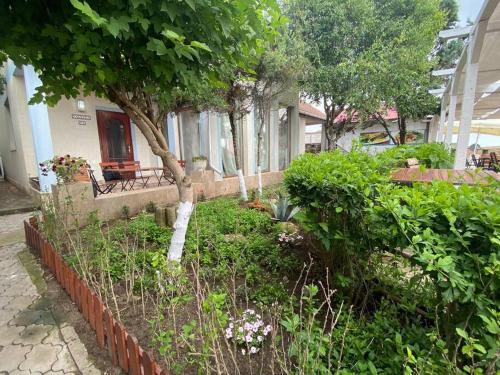 Vila Karina Beachfront Vama Veche