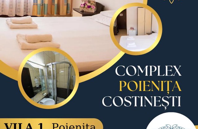Vila Poienita