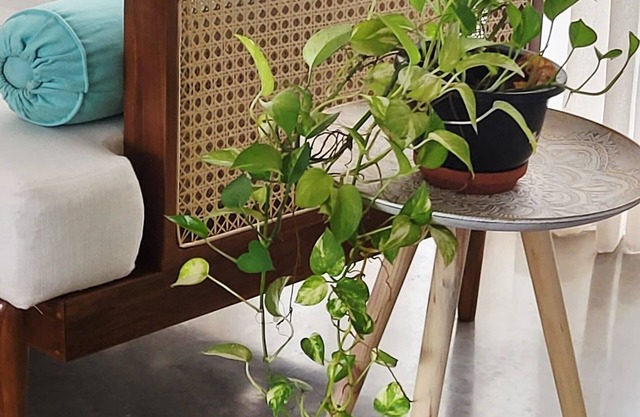 Villa 316, Beach‑Vibe Urban Villa – a Family Home just 20 Min to Colombo City