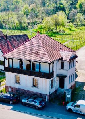 Villa BEST VIEW near Colmar- FREE PARK & WIFI