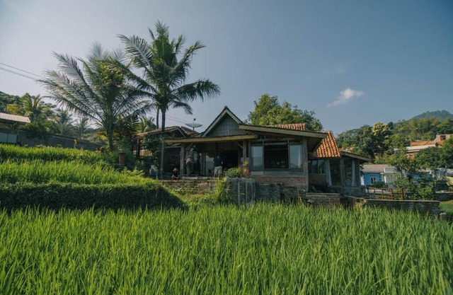 Villa Cetok Syariah - Nuansa Pedesaan