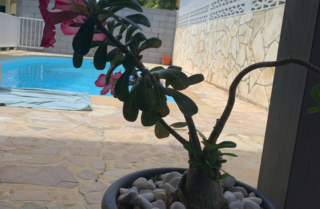 Villa ILOZA in the heart of Martinique