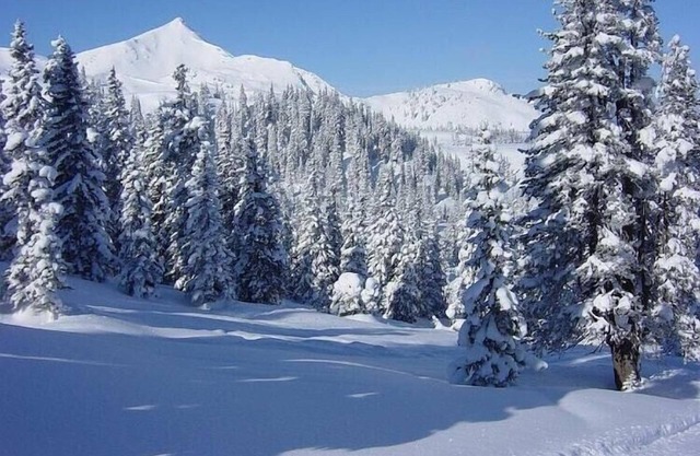 Villa in Zentrumsnähe, Medebach