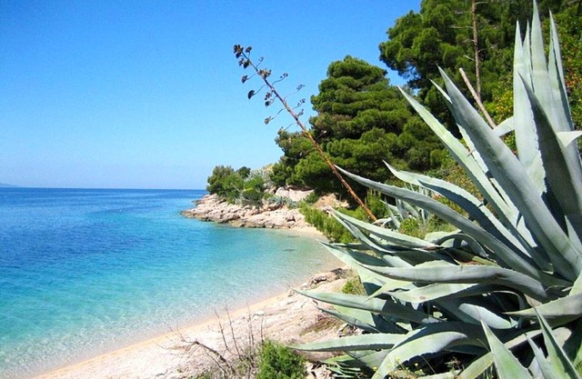 Villa Ivana, (15332), Bol, hr