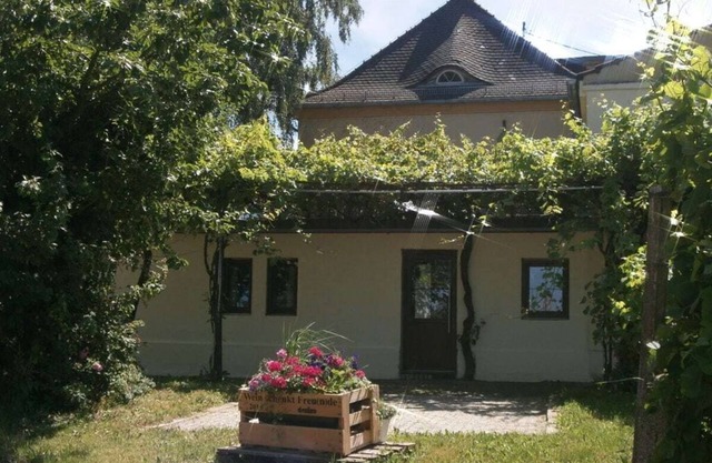 Villa Julchen Comfortable holiday residence