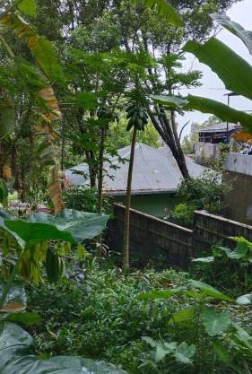 Villa Kubu Gitgit