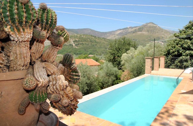 Villa Oasis pool and nature