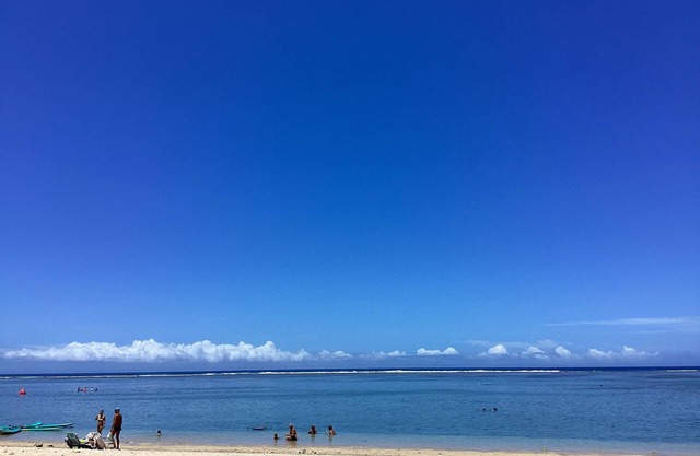 Villa Payanké/panoramic sea view/heated pool/4 bdrms/varangue/tropical garden