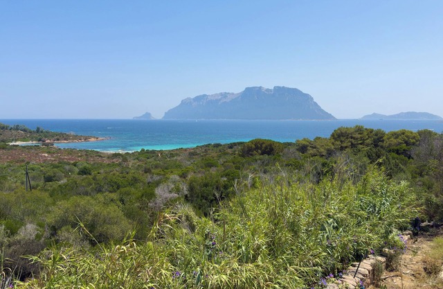 Villa Pony - Four Bedroom Villa, Sleeps 8