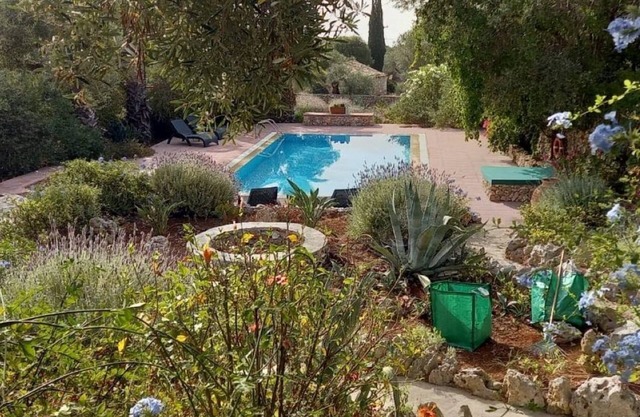 Villa set within private courtyard surrounded by mature olive trees