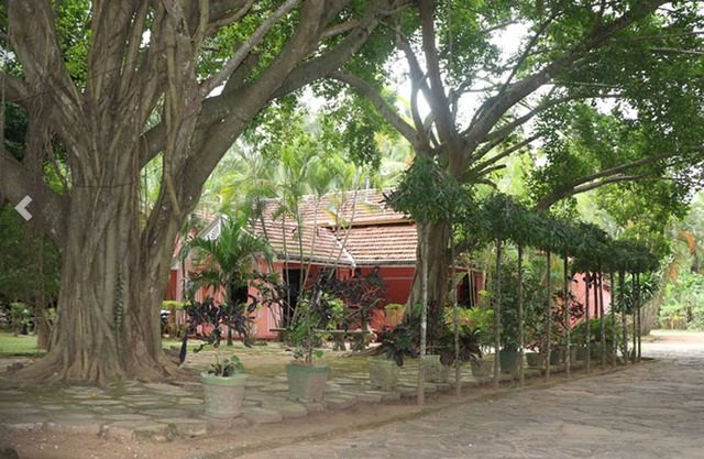 Villa Sunshine Hotel