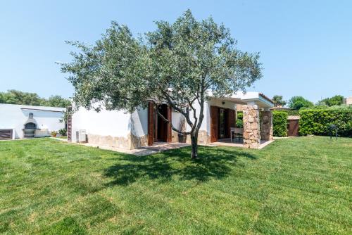 Villa Teresa