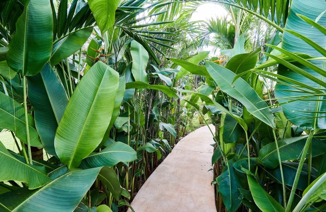 Villa Tortuga lux 4 Bdr Big Gardenpool Cenote