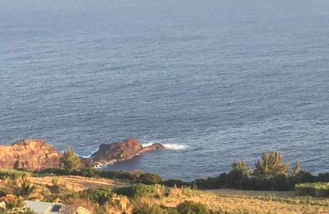 Villa Vanille T2/4 sea view near Grande Anse beach