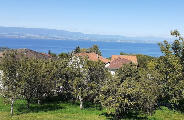 Vrbo Property