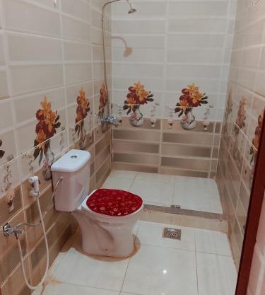 Wadi Rum Ali Camp &Tours