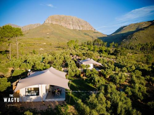 Wagyu Mountain Lodge