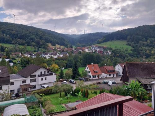 Waldblick in Hirschhorn