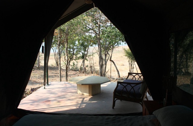 Warthogs Safari Camp