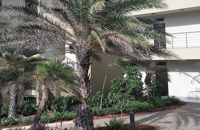 Watch Passing Sailboats and Spectacular Views of St. Barts from the Balcony