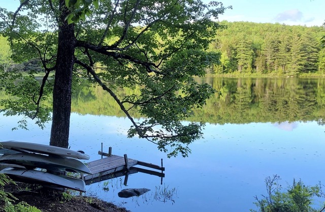 Waterfront Cabin- look down on water from deck, private docks & fire pit