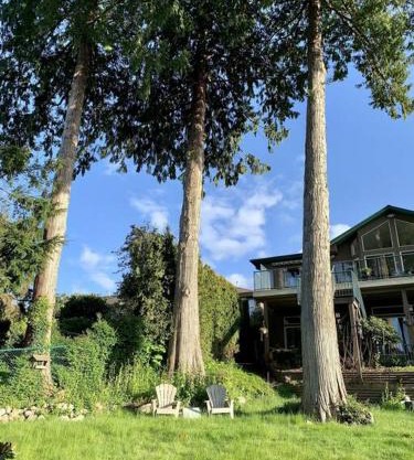 Waterfront Eagle Nest