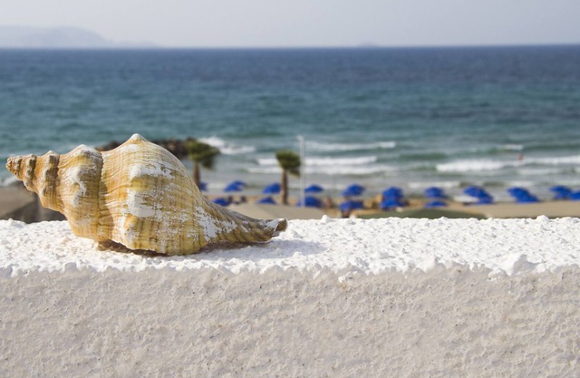 White House ELENA | by The Sea