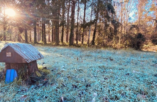 Winter and Christmas at Gites Rue Due Chateau - sleeps 10