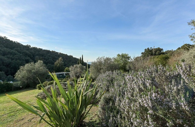 Wonderful private villa for 7 guests with WIFI, private pool, patio, pets allowed and panoramic .