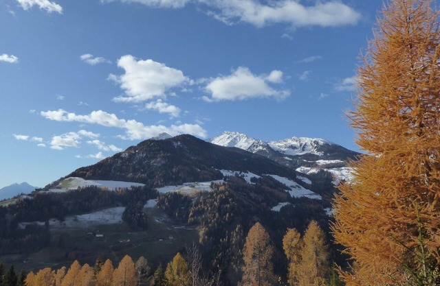 Wonderful villa for 6 guests with WIFI, TV, terrace, pets allowed and panoramic view