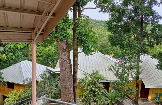 Woodland Inn