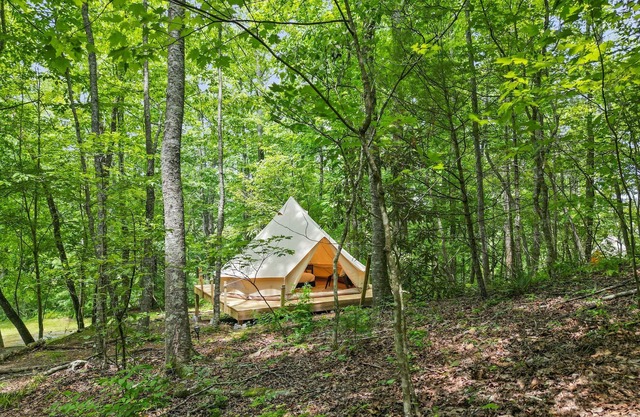 Yak Eco Camp - Site #5