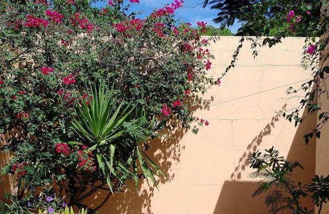 Your Private Villa & Pool in the sun!