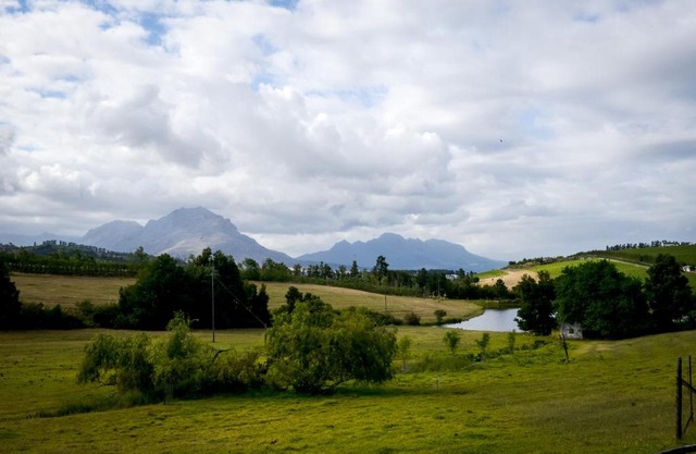 Zebra Cottage and Lodge