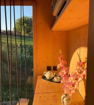 Zenbox Satori - the place to ease your mind