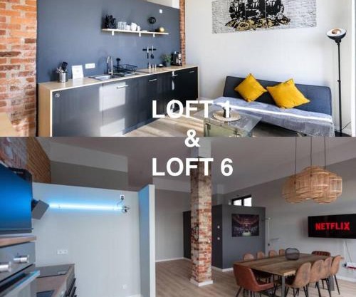 Zwei Lofts in Kulturdenkmal nähe Zentrum (VI+I)