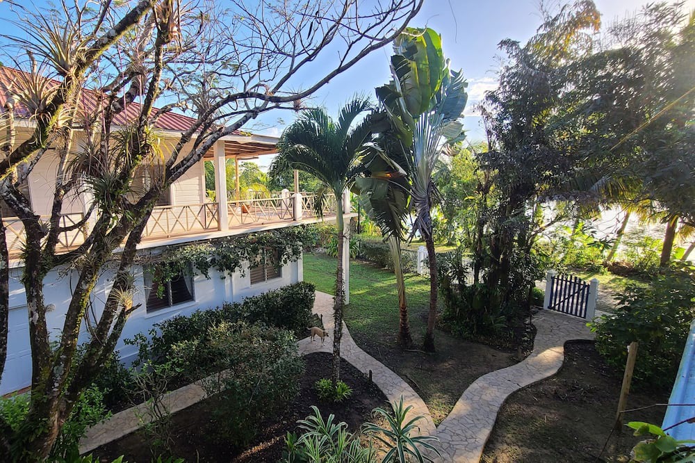Forest Home Apartment | Stay, relax and explore in Belize at our tropical oasis by the Caribbean Sea.