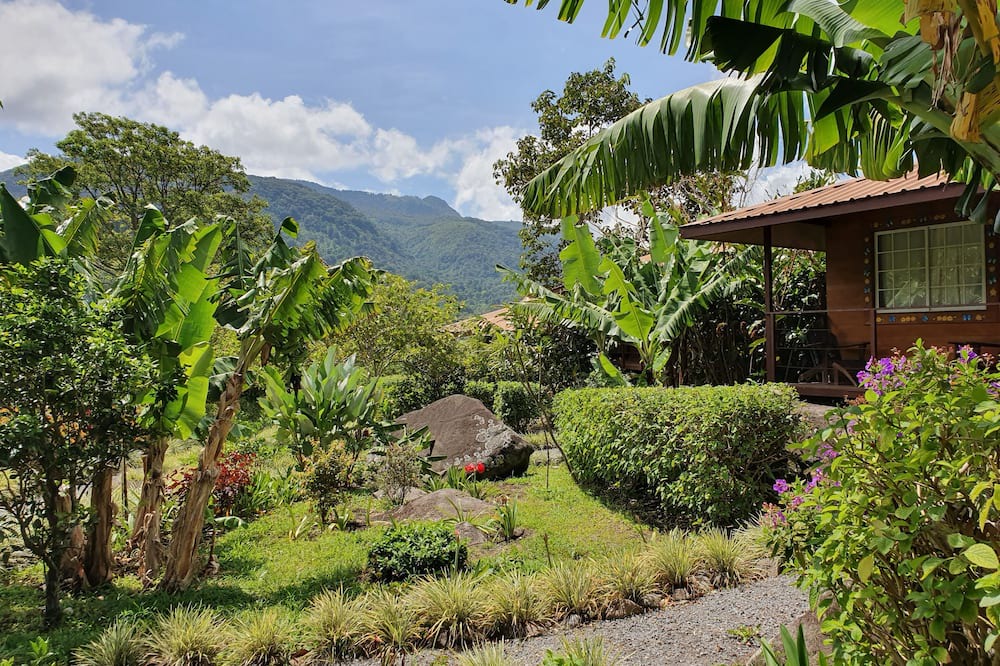 Boquete House | Ecoresort: We are Panamas leading honey producer and butterfly exhibit.