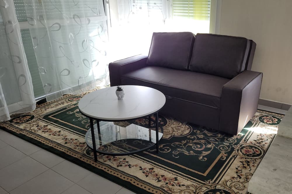 Metz-Tessy Apartment | Ilettes