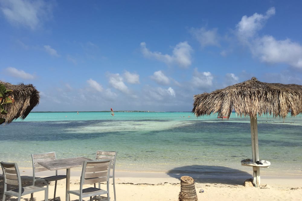 Sabal Palm House | Bonaire: Sabal Palm 50 guesthouse
