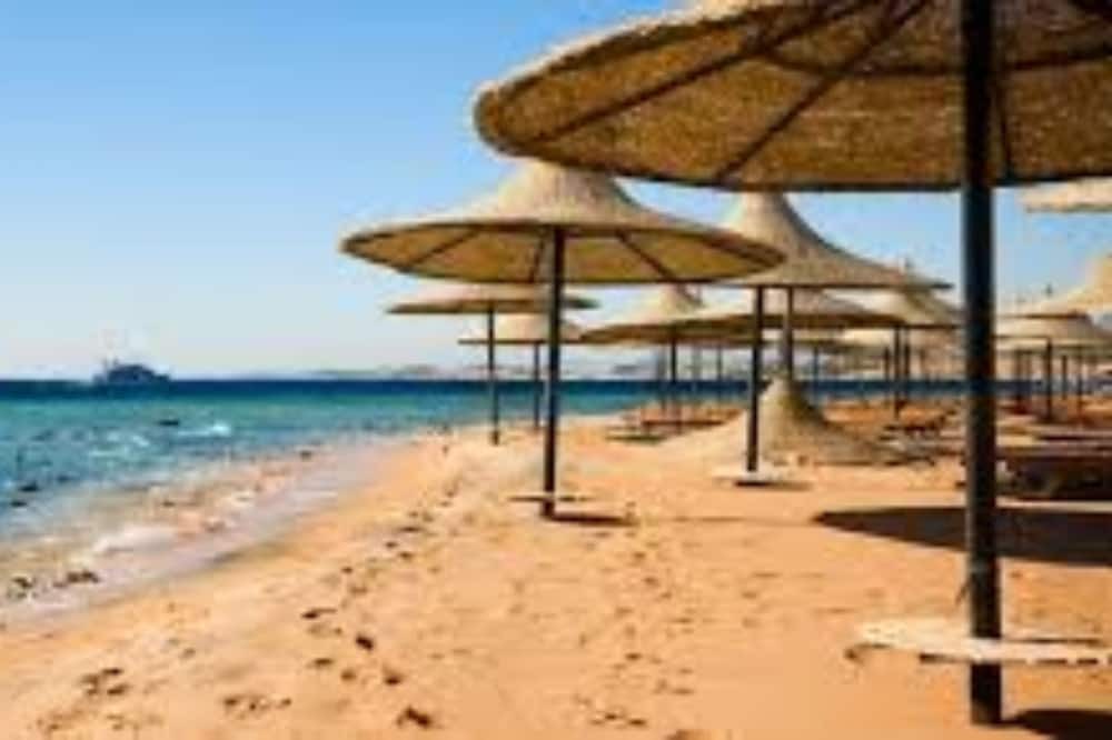 Ras Nasrani House | Guesthouse 4 in sharm El sheikh directly on the pool and sea view