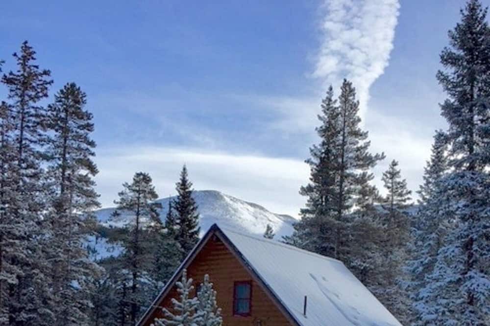 Breckenridge Cabin | The perfect cabin in the mountains, minutes to downtown Breckenridge