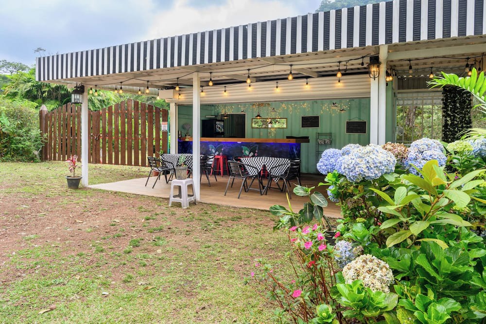 Bajos del Toro Hotel | Blue Morpho Lodge