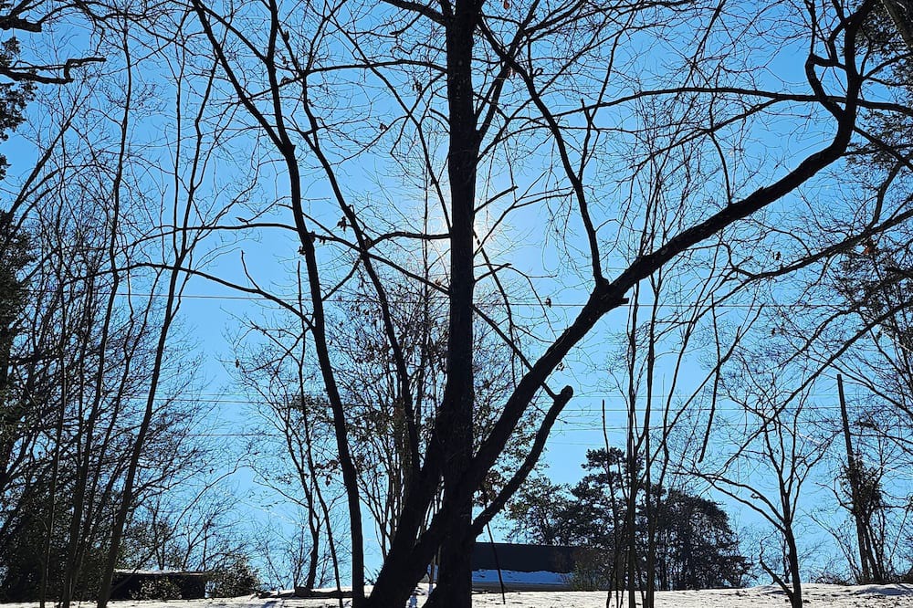 Roanoke Cabin | Charming 2-bedroom cabin only a few minutes from downtown Roanoke attractions.