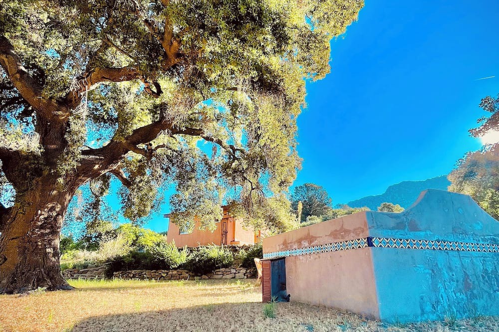 Nueva Ensenada Cabin | Casita de Adobe: Escape to the Sierra and Disconnect